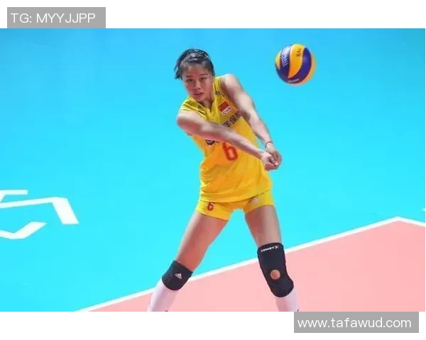 上海排球队灵活性分析与战术调整的深度探讨 上海排球队灵活性分析与战术调整的深度探讨