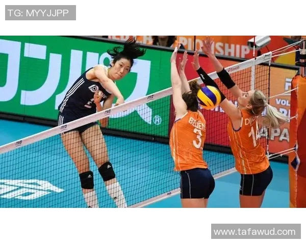 广州排球队挑战赛特别报道：从默默无闻到辉煌成就的奋斗历程