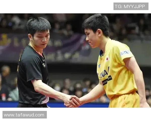 武汉乒乓球队员个人能力深度对比与分析探讨