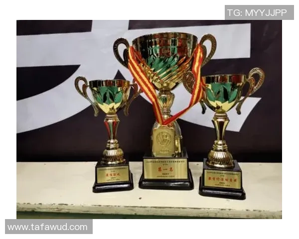 武汉排球队在全国排球力量排行榜中荣登第九名展现强劲实力与潜力