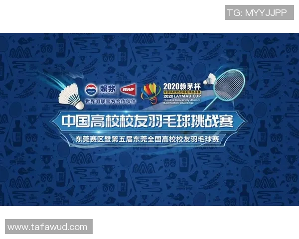 武汉羽毛球队实力深度剖析与各队对比分析