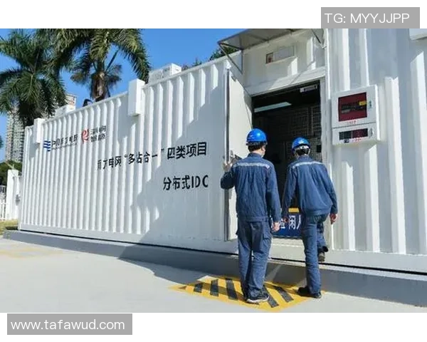 深圳篮球队的运营揭秘：从管理到战术的全方位分析与深度探讨