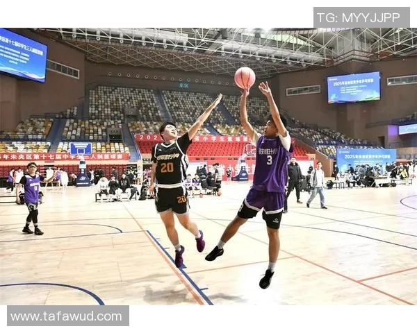 专业解读：西安篮球队的盯防打法