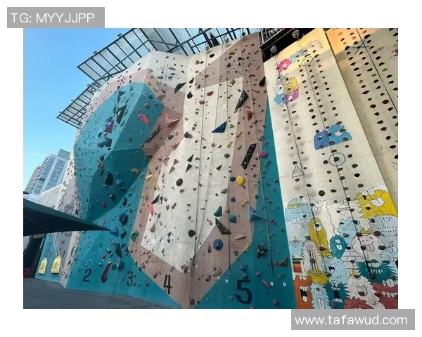 攀岩新手攻略：实力入门指南