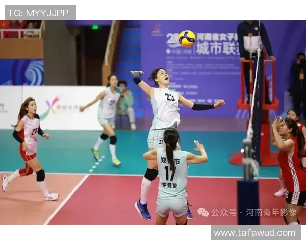 排球专题：聚焦武汉排球队的战术