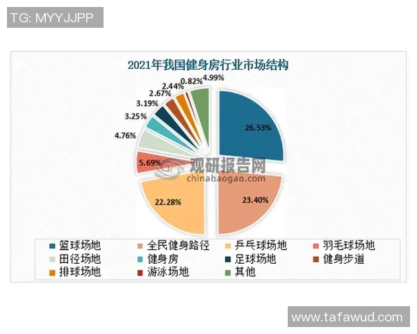数据分析：北京乒乓球队的速度表现