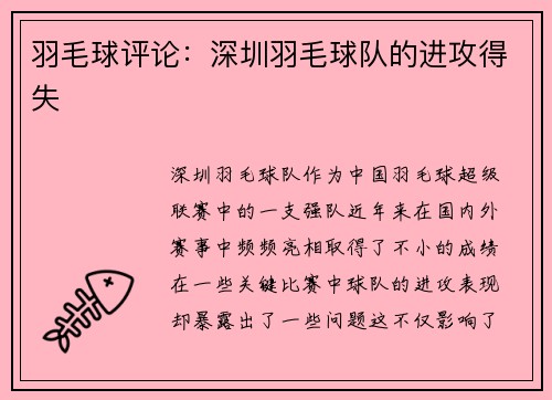 羽毛球评论：深圳羽毛球队的进攻得失