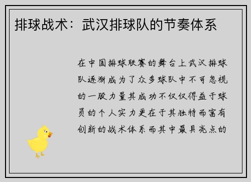 排球战术：武汉排球队的节奏体系