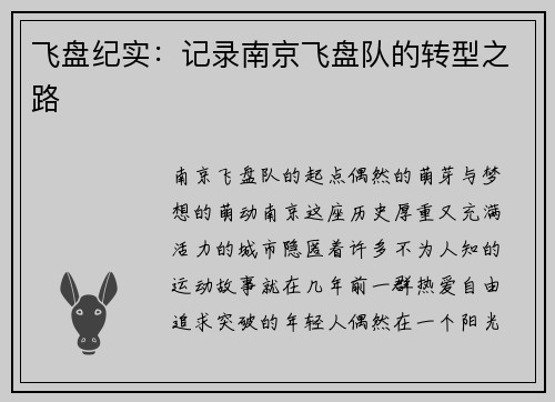 飞盘纪实：记录南京飞盘队的转型之路