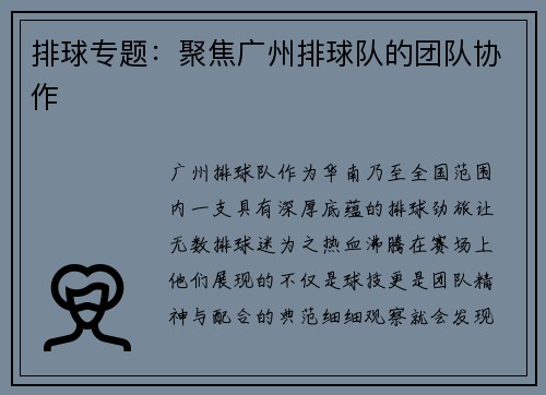 排球专题：聚焦广州排球队的团队协作